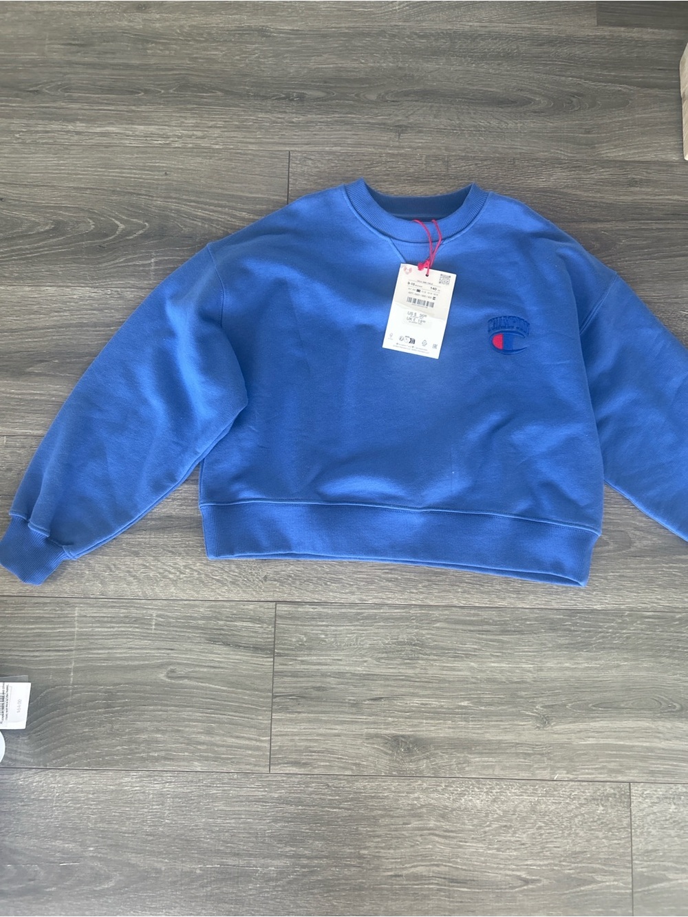Champion Men's Crewneck Sweatshirt - Royal Blue